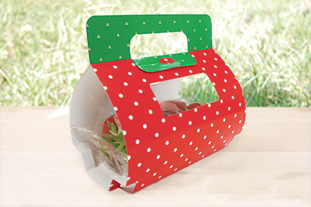 いちごケース裏面