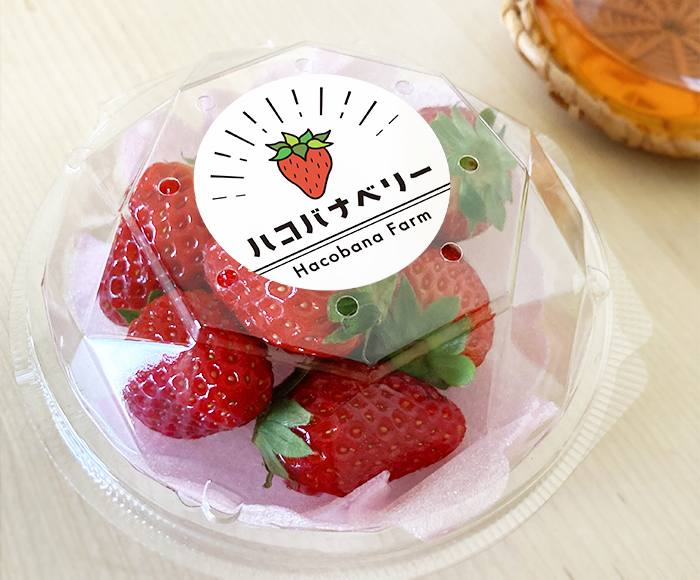 いちごシールサンライズ