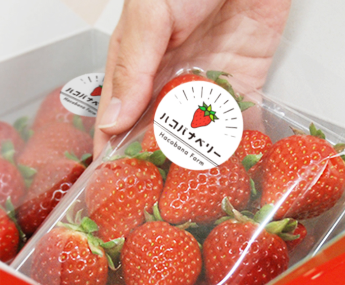 いちごシールサンライズ