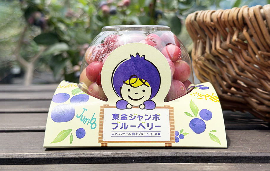 ブルーベリーケース